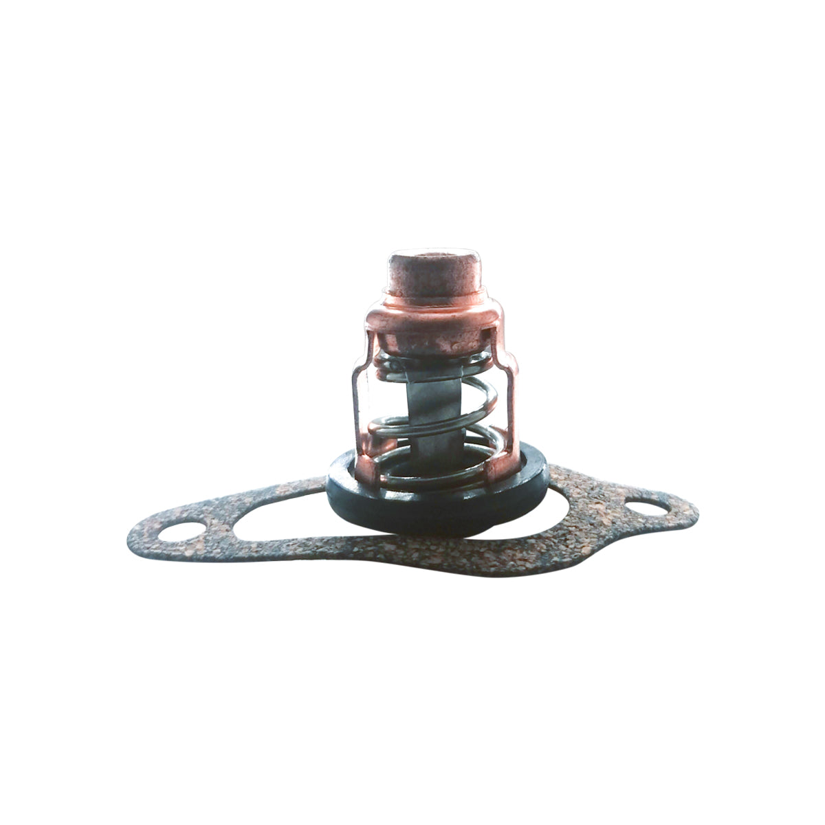 GHmarine 18-43175 Thermostat Repair Service Kit for Mercury Marine 4 Stroke 8-30 HP Carb EFI Outboard Motors